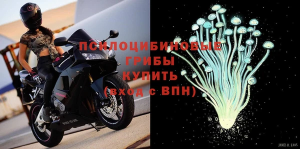apvp Нязепетровск