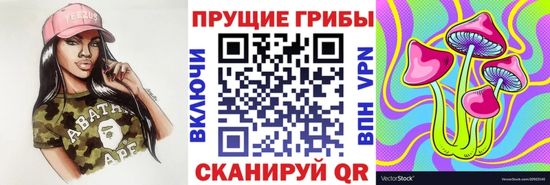 Псилоцибиновые грибы прущие грибы  Фёдоровский 